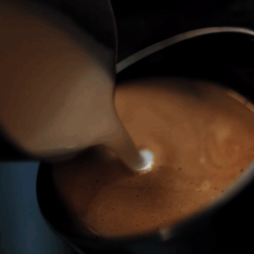 Kaffee Genügend Kaffee GIF