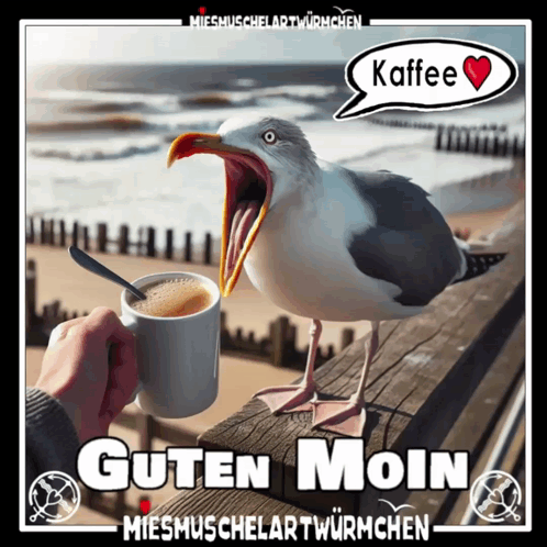 Kaffee Morgen GIF. This 498 x 498 animated GIF is part of our guten morgen donnerstag collection. Related themes include good morning, kaffee. Created by…