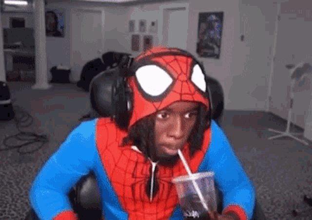 Kaicenat Spider GIF