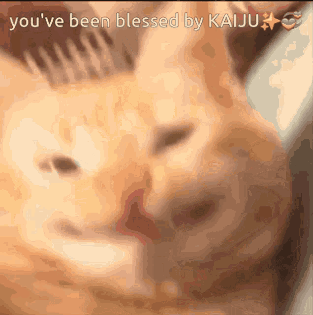 Kaiju Bless Kaiju Gif GIF