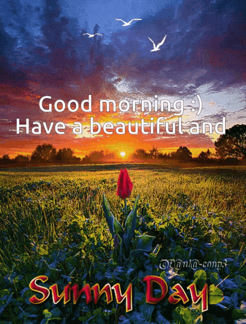 Kalimera Morning GIF