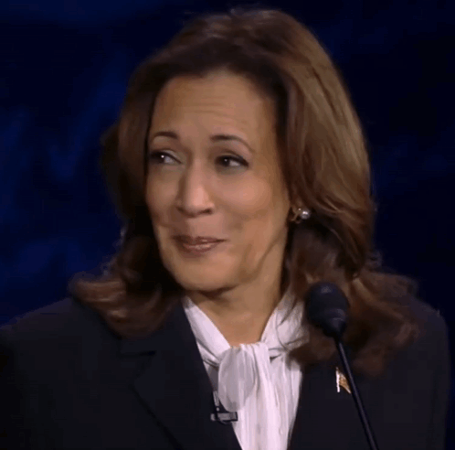 Kamala Harris Holding Laugh GIF. This 498 x 492 animated GIF is part of our incredulous collection. Related themes include eye roll, side eye, unbelievable…
