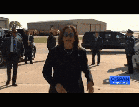Kamala Harris Tarmac GIF