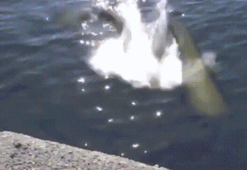 Kamen Rider Kamen Rider Den-o GIF