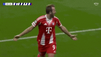 Kane Harry Kane GIF