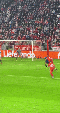 Kane Harry Kane GIF
