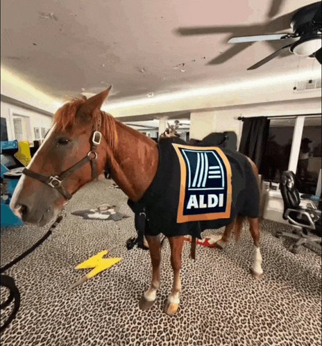 Kanyealdihorse Meme