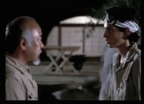 Karate Karate Kid GIF