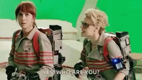 Kate Mckinnon Yes Who Are You GIF. This 498 x 282 animated GIF is part of our kate mckinnon ghostbusters collection. Created by sc00b4s7eve. View the…