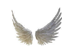 Kate Wings Sticker