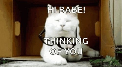 Katie Cat GIF. This 498 x 275 animated GIF is part of our que te debo collection. Related themes include cat. Created by VeteranLion. View the original…
