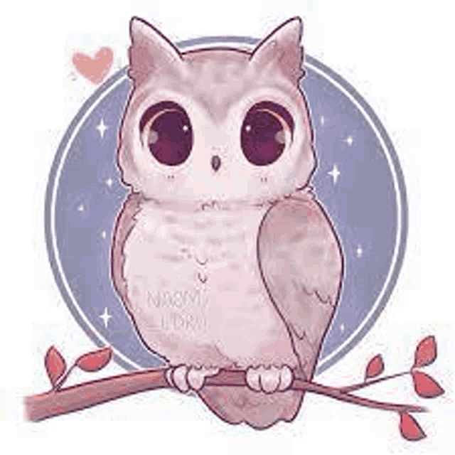Kawaii Cute Meme
