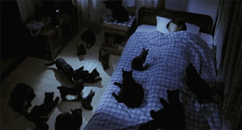 Kayako Kayako Saeki GIF