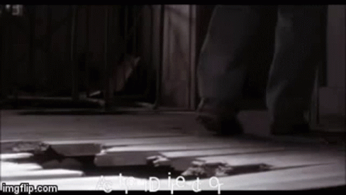 Kazaam Funny GIF. This 498 x 280 animated GIF is part of our kazaam collection. Related themes include funny. Created by kadingrider. View the original…