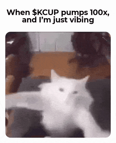 Kcup GIF