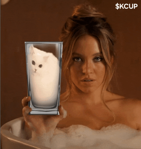 Kcup Kittycup Meme