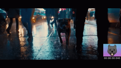 Keanu GIF. This 498 x 280 animated GIF is part of our john wick dog collection. Created by rahrah123. View the original animation, share it, or browse…