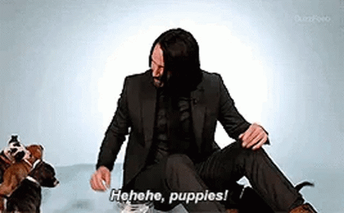 Keanu Reeves GIF. This 498 x 308 animated GIF is part of our john wick dog collection. Related themes include love. Created by jessiwan_kenobi. View the…