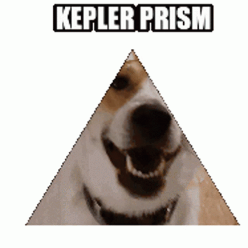 Kepler The Kepler Sticker