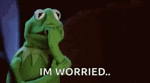Kermit Anxiety GIF