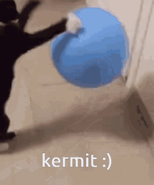 Kermit Cat GIF