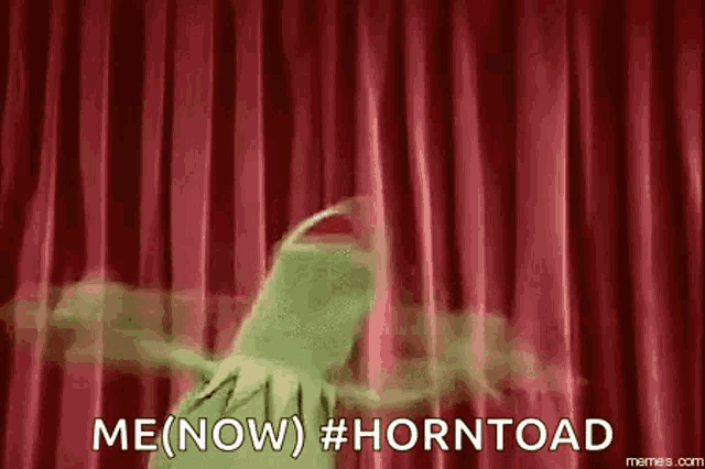 Kermit Freaking Out GIF