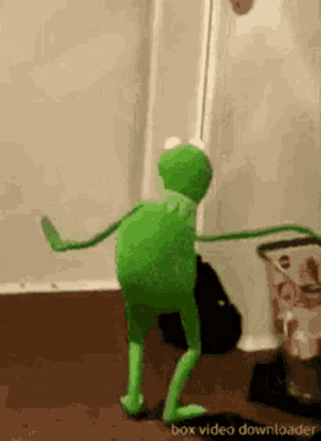 Kermit Is Bos GIF