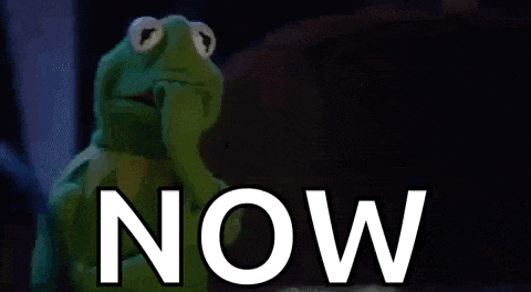 Kermit Kermit The Frog GIF