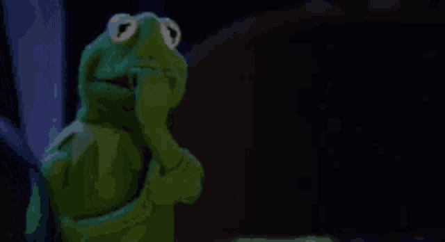 Kermit Kermit The Frog GIF