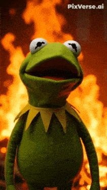 Kermit Kermit The Frog GIF