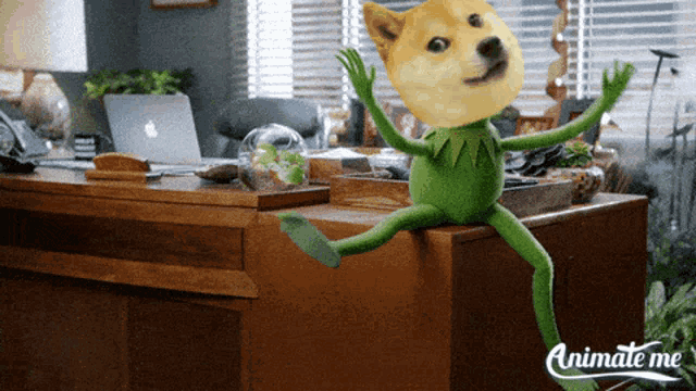 Kermit Kermit The Frog GIF