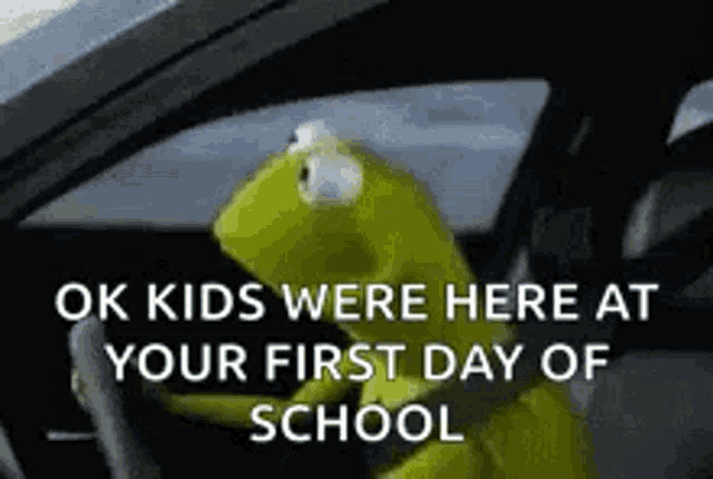 Kermit Say What GIF