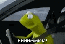 Kermit Saywhat GIF