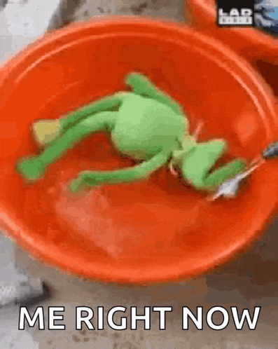 Kermit Spinning GIF
