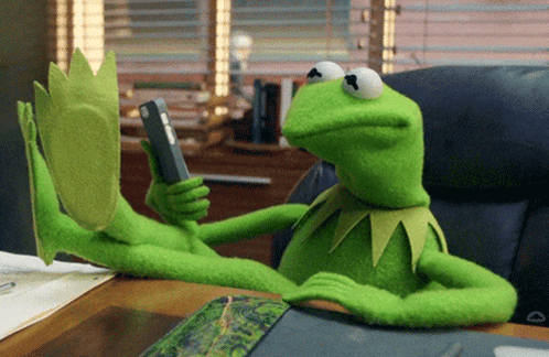 Kermit The Frog GIF