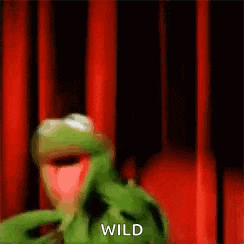 Kermit The Frog Dance GIF