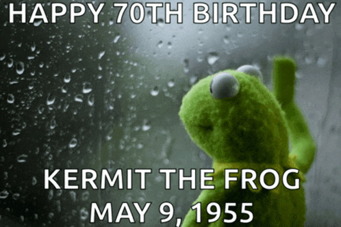 Kermit The Frog May 9 1955 Meme