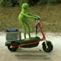 Kermit The Frog Meme