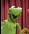 Kermit The Frog Meme