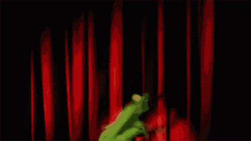 Kermit The Frog The Muppets GIF