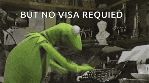 Kermit The Frog Typing GIF