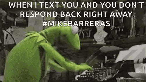 Kermit Typing GIF