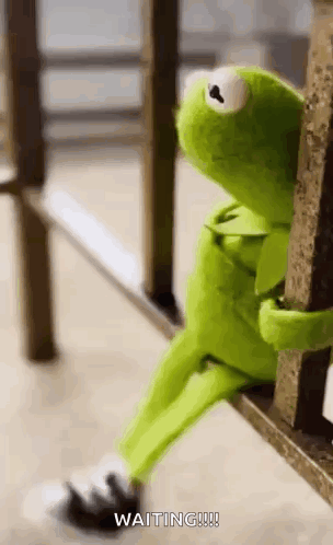 Kermit Waiting GIF