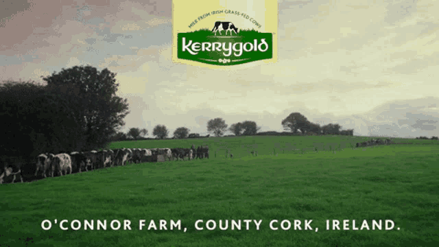Kerrygold Grass GIF