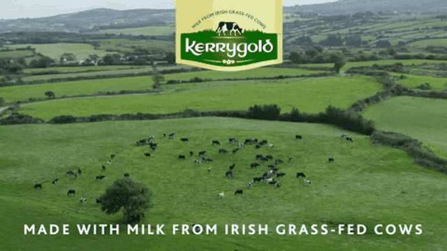 Kerrygold Grass GIF
