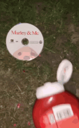 Ketchup Catsup GIF