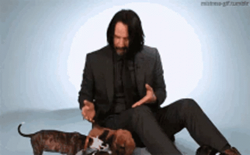 Keyaan John Wick GIF. This 498 x 308 animated GIF is part of our john wick dog collection. Related themes include john wick. Created by Urmom444555666. View…