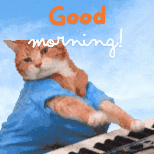Keycat Keyboard Cat GIF