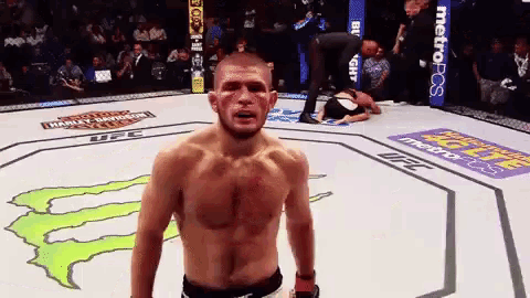 Khabib GIF