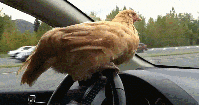 Khalibumkasaala GIF